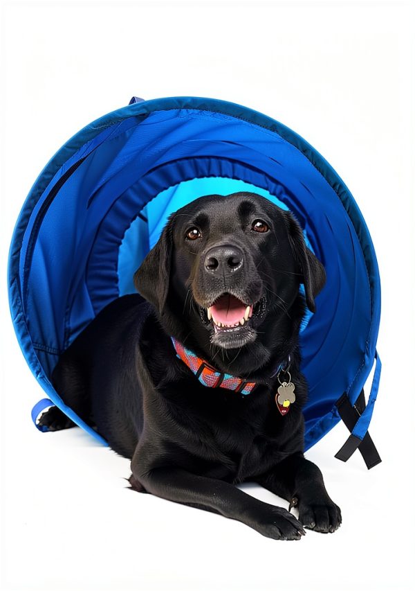 Pacific Play Tents Dog Agility Tunnel Collapsible Durable-6