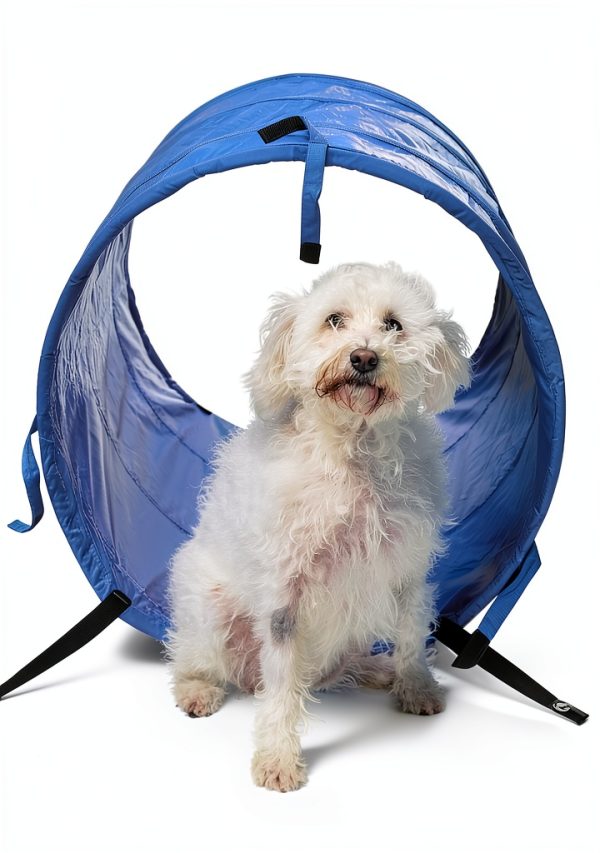 Pacific Play Tents Dog Agility Tunnel Collapsible Durable-2