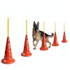 MDTMR Dog Agility Equipment Set Cones Rods Training-5