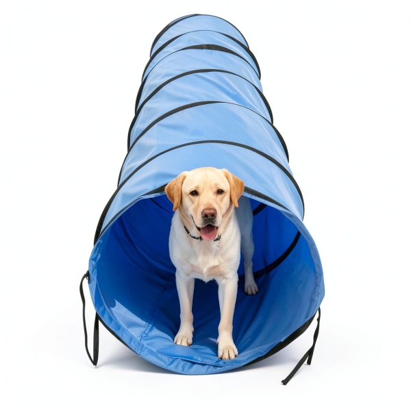 KINETOVOLTA Dog Agility Tunnel Portable Outdoor Training-3
