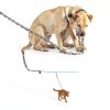 LURLEEZ Dog Run Cable Tangle Free Pulley Large Dogs-4
