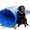 Pacific Play Tents Dog Agility Tunnel Collapsible Durable-3