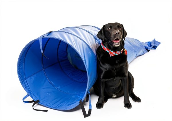 Pacific Play Tents Dog Agility Tunnel Collapsible Durable-3