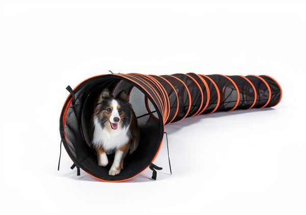 Hide N Side Pet Play Tunnel 4 Way Orange Black Durable-2