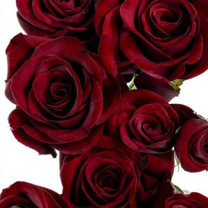 Kindle eBook Teen Fiction Self Harm Sexual Abuse Mental-0