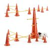 MDTMR Dog Agility Equipment Set Cones Rods Training-4