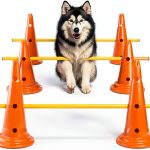 MDTMR Dog Agility Equipment Set Cones Rods Training-0