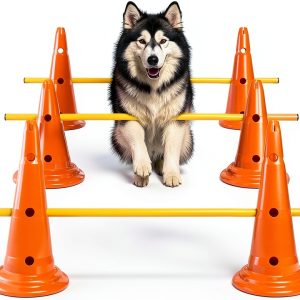 MDTMR Dog Agility Equipment Set Cones Rods Training-0