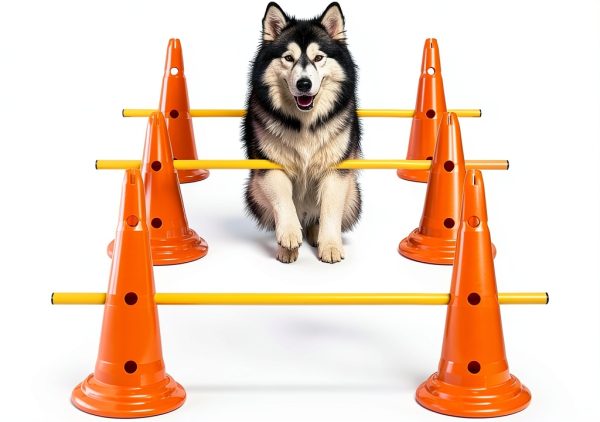 MDTMR Dog Agility Equipment Set Cones Rods Training-0