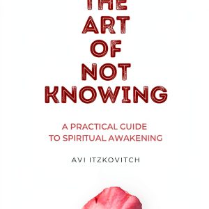 Meeting the Universe Positive Psychology eBook Self Help-0