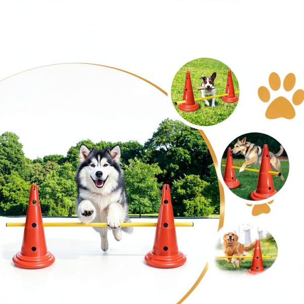 MDTMR Dog Agility Equipment Set Cones Rods Training-1
