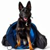 Hoffco Dog Agility Tunnel 16ft Sandbags Secure Training-1
